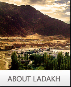 ladakh