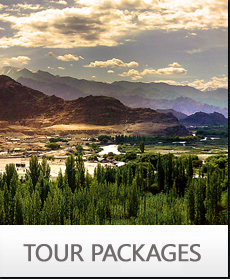 tour-packages